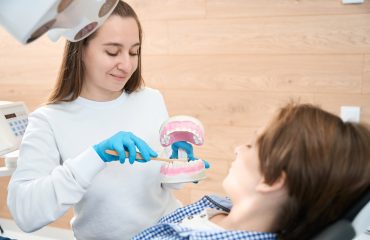 Boy looks mock-up dentition in the hands of the dentist hygienist